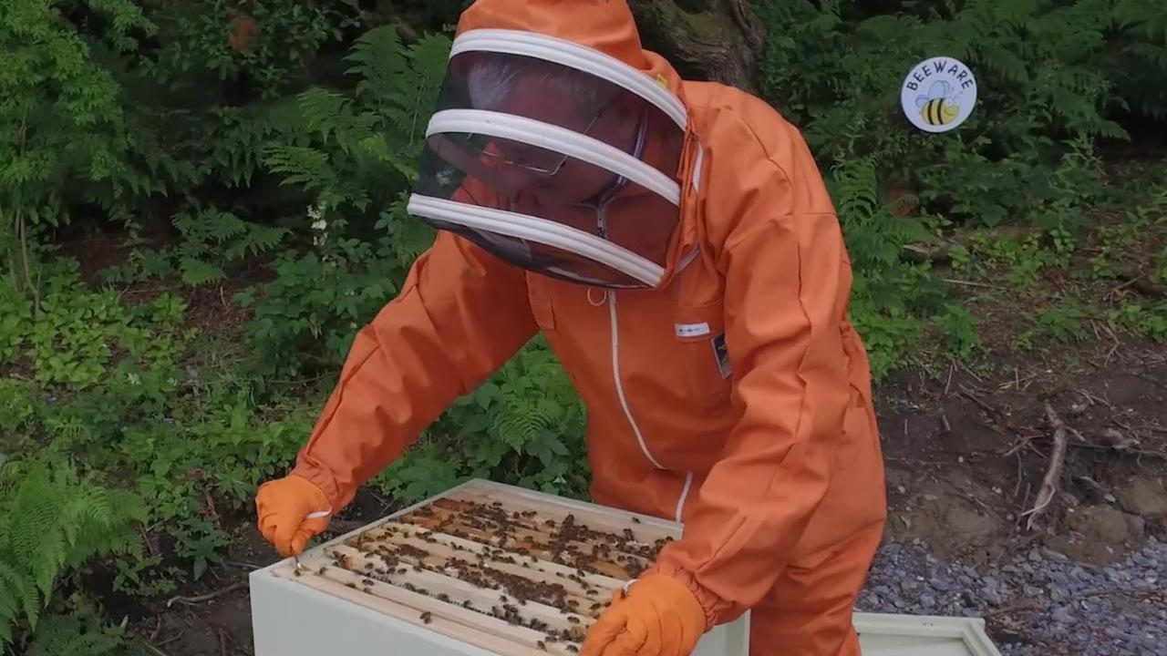 The Bee Pods Villa Rossnowlagh Luaran gambar